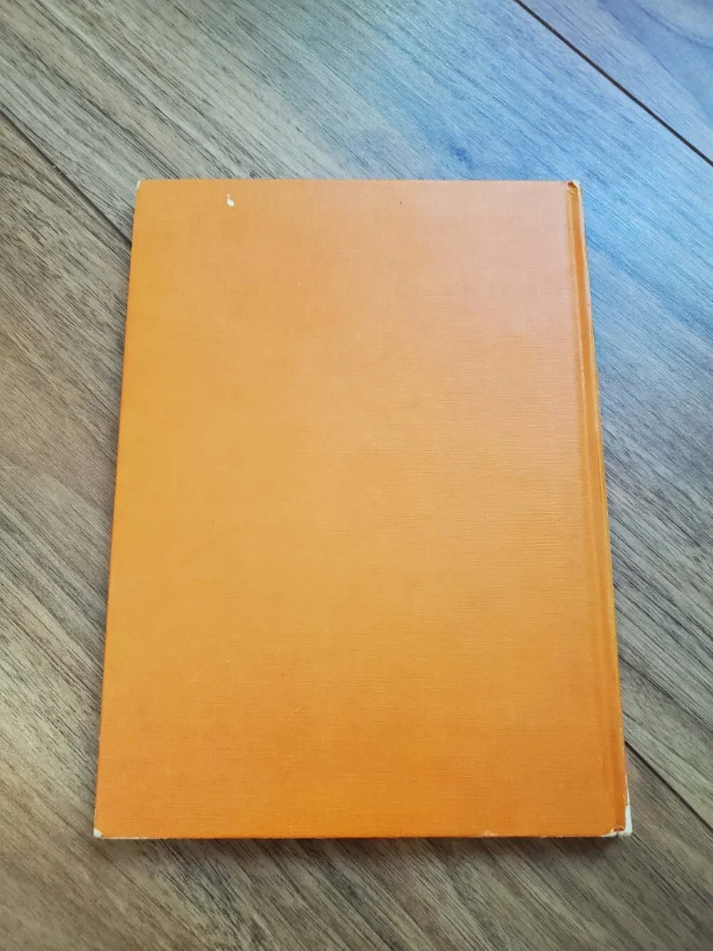 Vintage Cloth The Big Jump & Little Black a Pony Books Dr. Seuss Beginner Books